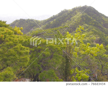 Bukhansan. National Park. Munpilbong. Bohyeonbong. Leaves. Sprouts. Baekundae. 76683434