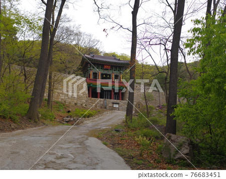 北漢山, 國立公園, 文筆峰, 寶賢峰, 樹葉, 花蕾, 白雲台 北漢山, 國立公園, 文筆峰, 寶賢峰, 樹葉, 花蕾, 白雲台 76683451
