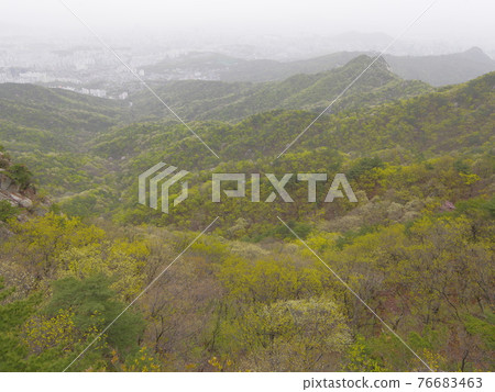 Bukhansan. National Park. Munpilbong. Bohyeonbong. Leaves. Sprouts. Baekundae. Bukhansan. National Park. Munpilbong. Bohyeonbong. Leaves. Sprouts. Baekundae. 76683463