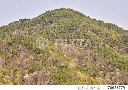 Mountain, Danyang-gun, Chungcheongbuk-do 76683779