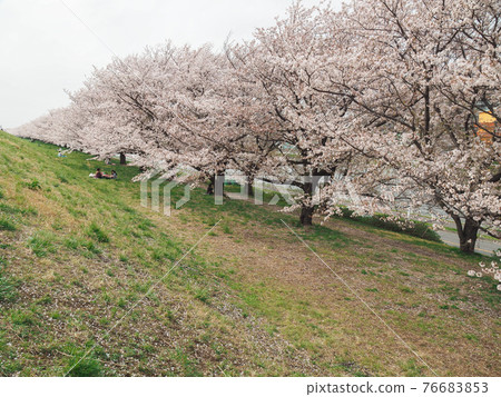 埼玉縣戶田市戶田櫻鶴見 76683853