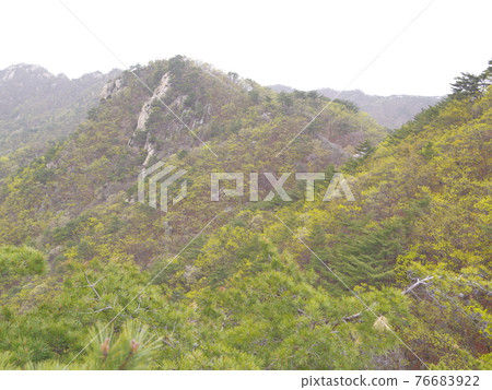 北漢山、國立公園、內院寺、要塞道路、春天的花、紅葉、寶賢峰 北漢山、國立公園、內院寺、要塞道路、春天的花、紅葉、寶賢峰 76683922