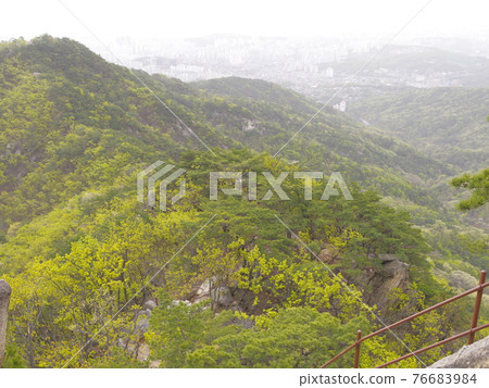 Bukhansan. National Park. Naewonsa Temple. Fortress Road. Spring Flowers. Leaves. Bohyeonbong Peak Bukhansan. National Park. Naewonsa Temple. Fortress Road. Spring Flowers. Leaves. Bohyeonbong Peak 76683984