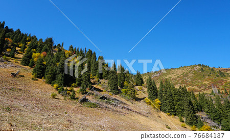 Autumn landscape of mountains and forests. Autumn landscape of mountains and forests. 76684187