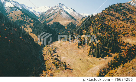 Autumn in the mountains. Yellow grass, green firs. Autumn in the mountains. Yellow grass, green firs. 76684296