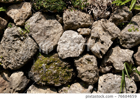 石垣（柵欄） 76684659