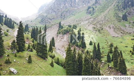 Green gorge with forest in the mountains. Green gorge with forest in the mountains. 76684896