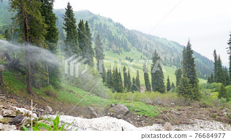 The water pressure broke out in the forest. 76684977