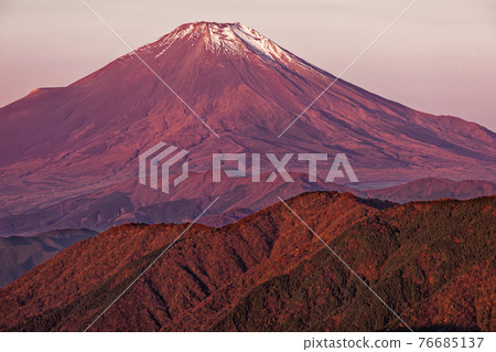 Tanzawa front Ridge · Mt.Fuji seen from the Sanno Tower 76685137