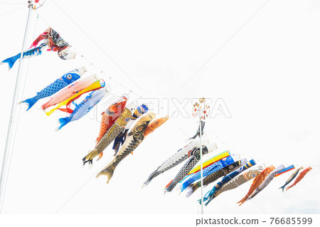 鯉魚旗在天上飄揚 鯉魚旗在天上飄揚 76685599