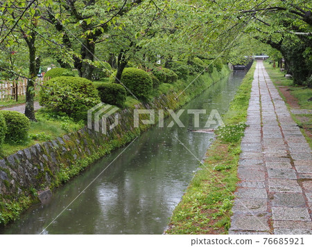 京都新鮮綠色哲學之路 76685921