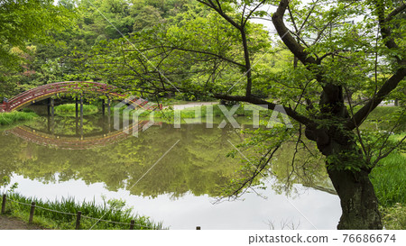 Fresh green of Shomyoji Temple, a famous temple in Kanazawa Ward, Yokohama City, Kanagawa Prefecture Fresh green of Shomyoji Temple, a famous temple in Kanazawa Ward, Yokohama City, Kanagawa Prefecture 76686674