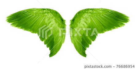 Green Angel wings an isolated on white background 76686954