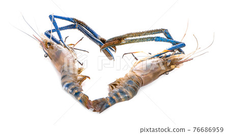 Fresh shrimps an isolated on white background. Fresh shrimps an isolated on white background. 76686959