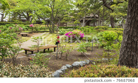 神奈川縣橫濱市金澤區野島公園伊藤博文別亭的春天 76687068