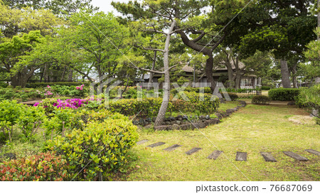 神奈川縣橫濱市金澤區野島公園伊藤博文別亭的春天 76687069