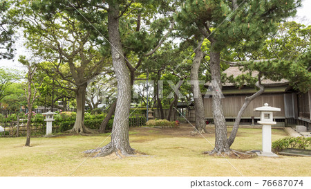 神奈川縣橫濱市金澤區野島公園伊藤博文別亭的春天 神奈川縣橫濱市金澤區野島公園伊藤博文別亭的春天 76687074