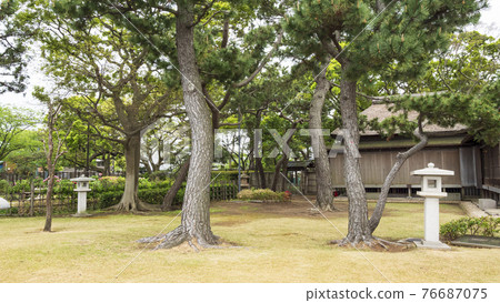 神奈川縣橫濱市金澤區野島公園伊藤博文別亭的春天 神奈川縣橫濱市金澤區野島公園伊藤博文別亭的春天 76687075