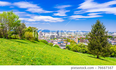 Residential area viewed from the fresh green hill 76687387