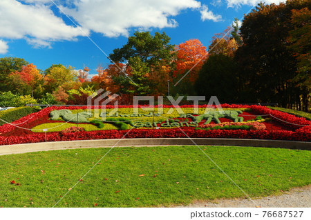 Flowerbeds and autumn leaves in Edwards Gardens, Toronto 76687527