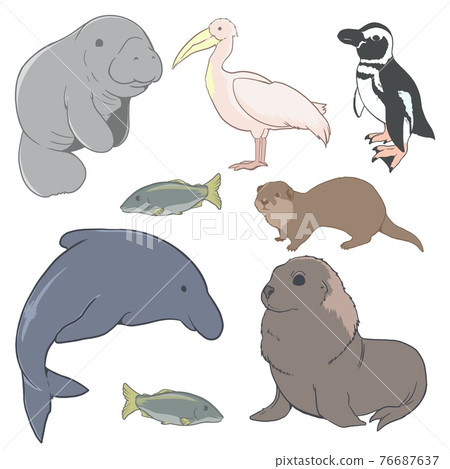 Sea creatures 01 76687637