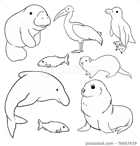 海洋生物01線描 76687639