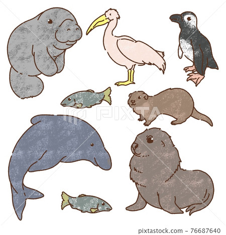 海洋生物01粗糙 76687640