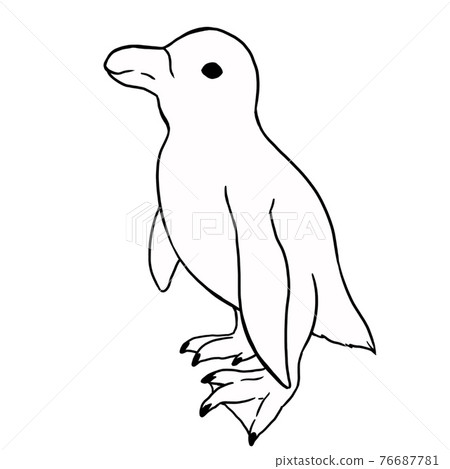 Penguins 01 line drawing Penguins 01 line drawing 76687781