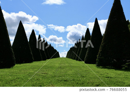 Palace of Versailles Road to the sky 76688055