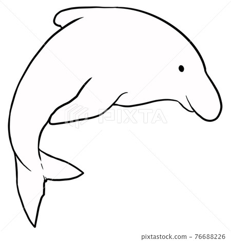 Dolphin 01 line drawing - Stock Illustration [76688226] - PIXTA