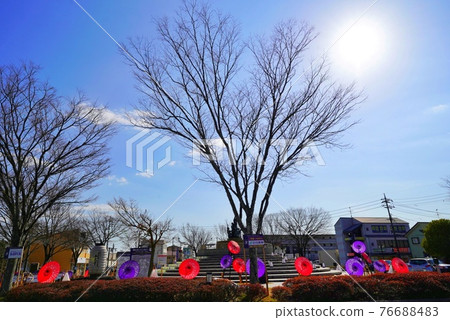 Wagasu and blue sky 76688483