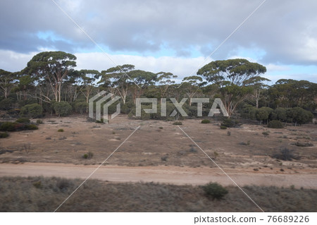 A trip to the Indian Pacific railroad, a fascinating transcontinental railroad that touches the magnificent pioneering spirit of Australia. A trip to the Indian Pacific railroad, a fascinating transcontinental railroad that touches the magnificent pioneering spirit of Australia. 76689226