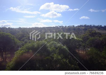 A trip to the Indian Pacific railroad, a fascinating transcontinental railroad that touches the magnificent pioneering spirit of Australia. A trip to the Indian Pacific railroad, a fascinating transcontinental railroad that touches the magnificent pioneering spirit of Australia. 76689236