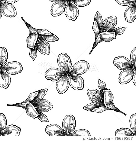 Seamless pattern with black and white plum flowers 76689597