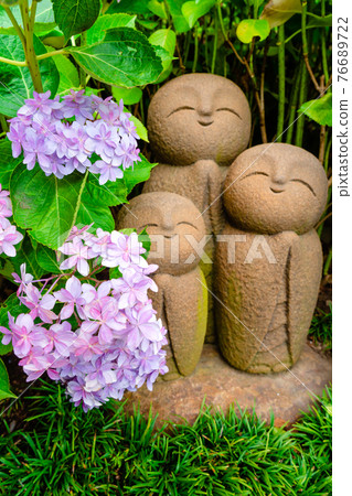 Ryoen Jizo and Hydrangea at Hase-dera Temple in Kamakura 76689722