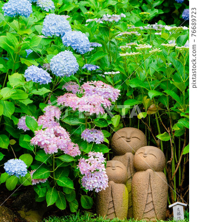 Ryoen Jizo and Hydrangea at Hase-dera Temple in Kamakura Ryoen Jizo and Hydrangea at Hase-dera Temple in Kamakura 76689723