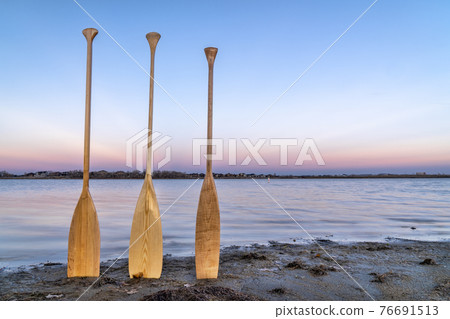 canoe paddles on lake shore canoe paddles on lake shore 76691513