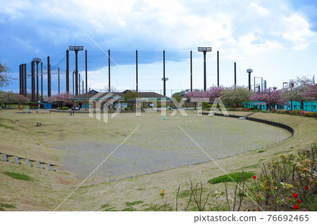 Spring Seya Hongo Park Spring Seya Hongo Park 76692465