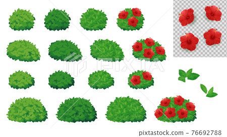 Hibiscus shrub illustration material set_leaf bush Hibiscus shrub illustration material set_leaf bush 76692788