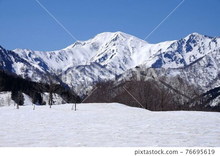 從銀山平森林公園看到的越後三山和中之岳 76695619