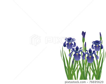 背景材料 背景材料 76695620