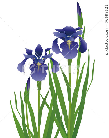 背景材料 76695621