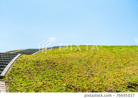 Green hill park and spring blue sky Green hill park and spring blue sky 76695837