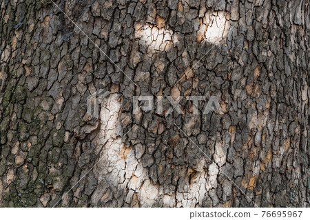 wrinkled face on a wooden background smiling design halloween design wrinkled face on a wooden background smiling design halloween design 76695967