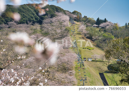 石山觀音池公園 R3 春天 76696033