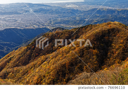 Okura ridge and Hadano city of autumn colors seen from Tanzawa and Tonodake 76696110