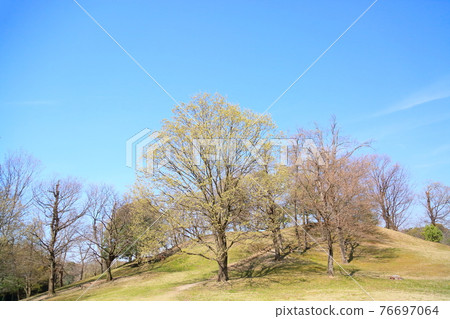 Spring in the park 76697064