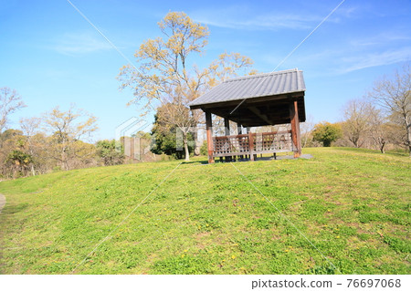 Spring in the park Spring in the park 76697068