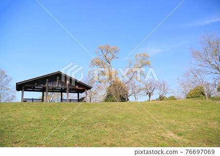 Spring in the park Spring in the park 76697069