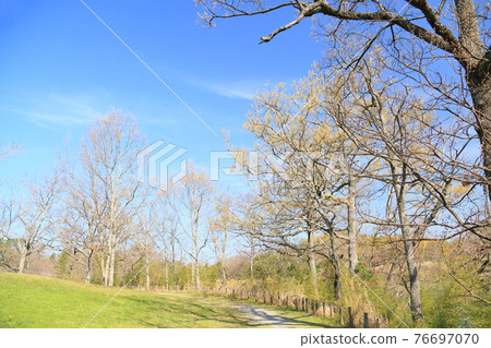 Spring in the park 76697070